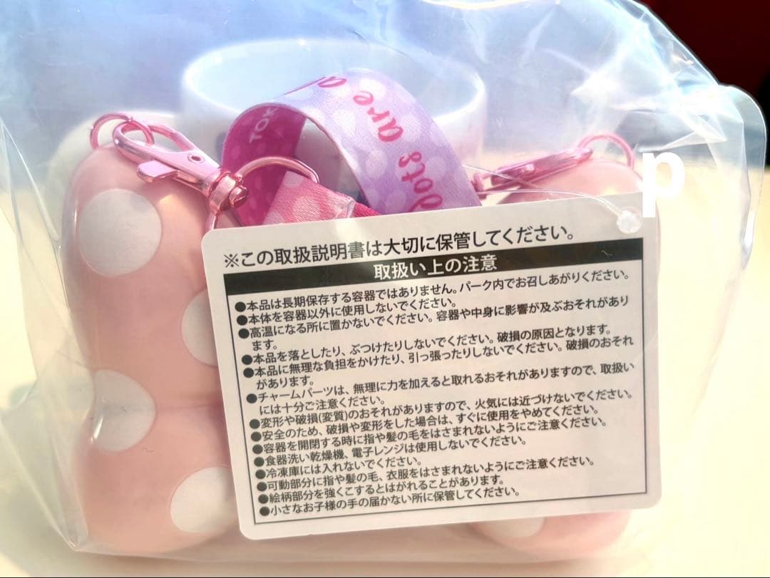 ディズニー　パルパルーザ　ミニー　ファンダーランド　スーベニアセット