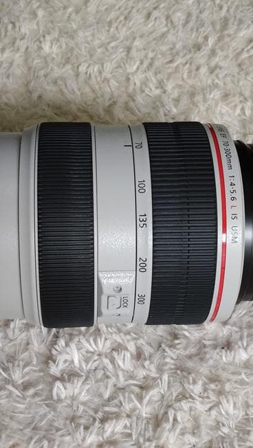 レンズ(ズーム) Canon EF70-300mm f/4.5-5.6 IS USM