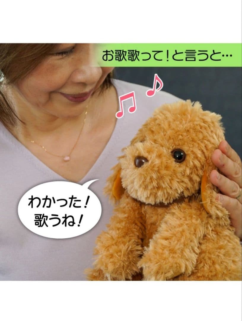 大人向け 音声認識 ぬいぐるみ 【 おしゃべりトイプードル] - メルカリ