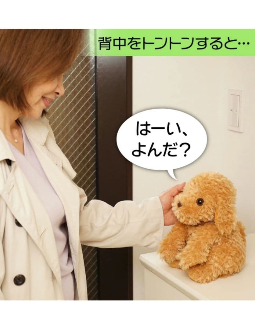 大人向け 音声認識 ぬいぐるみ 【 おしゃべりトイプードル] - メルカリ