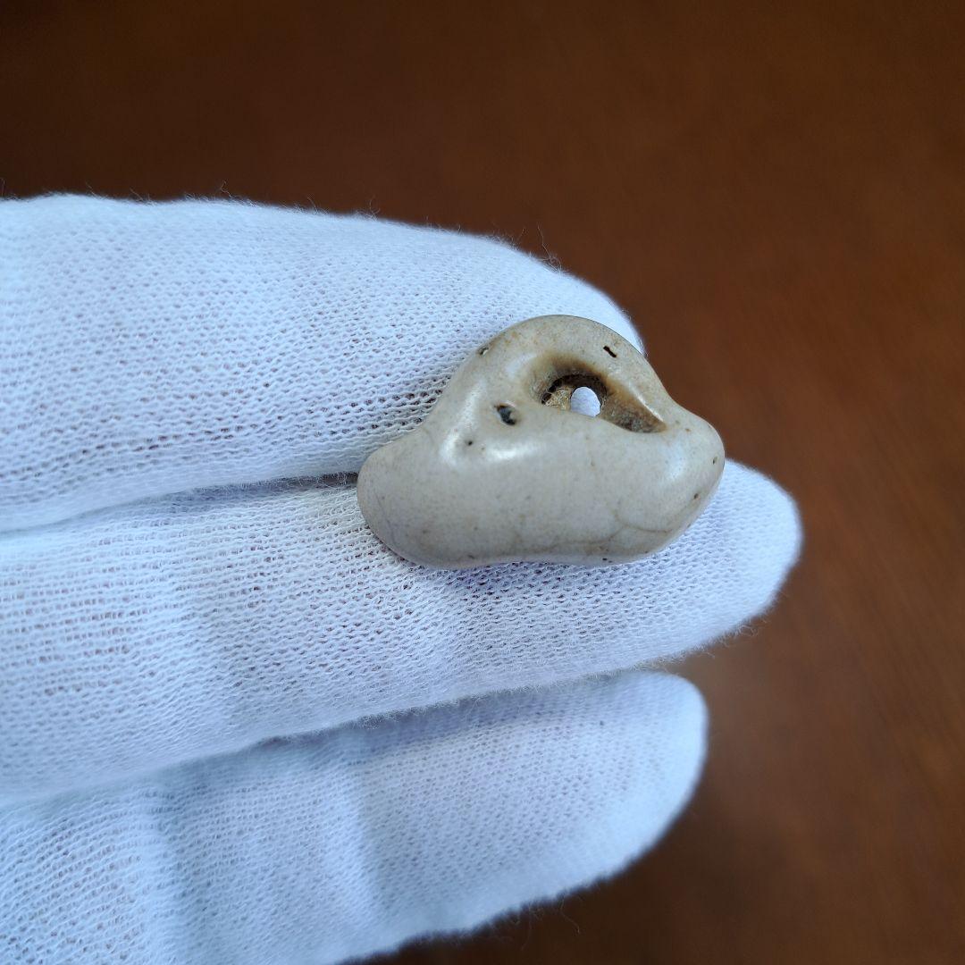 イルカの耳骨【大きさ2.7㎝ ④】