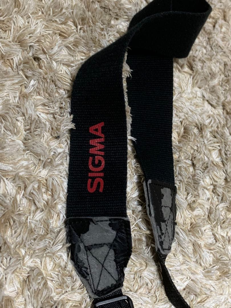 SIGMA 50-500mm F4.5-6.3 APO DG OS レンズ