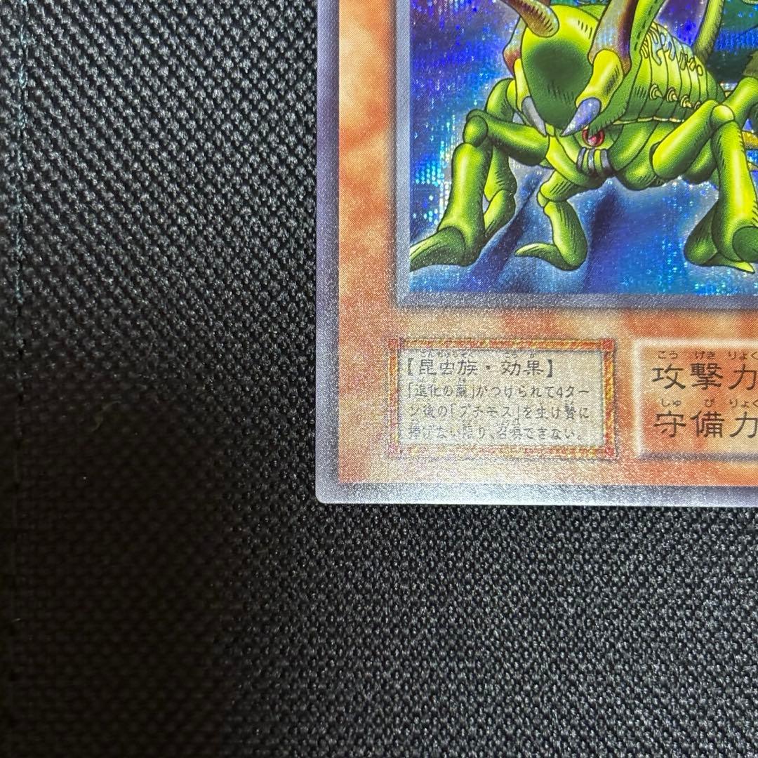 グレートモス 初期