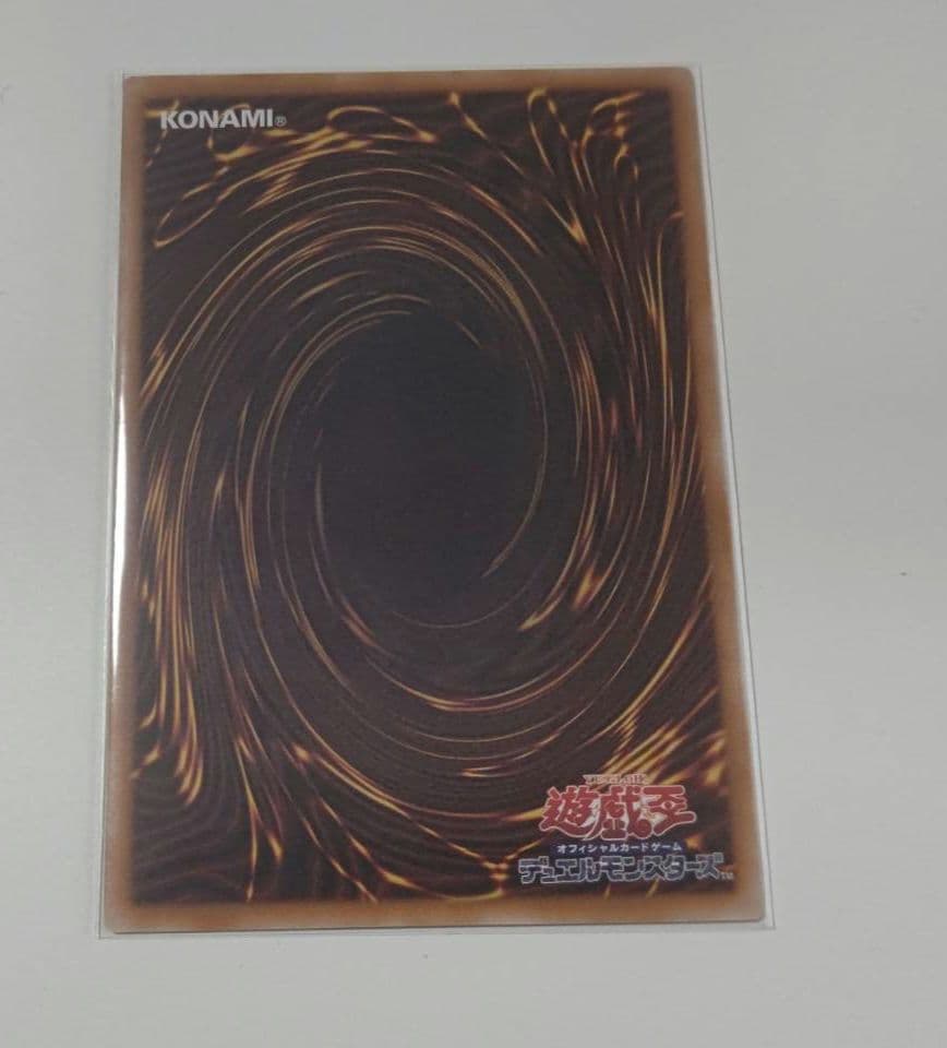 【即購入OK】 The Fallen & The Virtuous プリシク