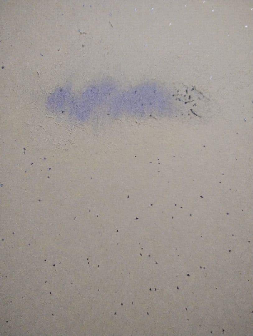 W*5様 ゼンレスゾーンゼロ シーザー役 佐藤利奈様 サイン入り色紙 訳