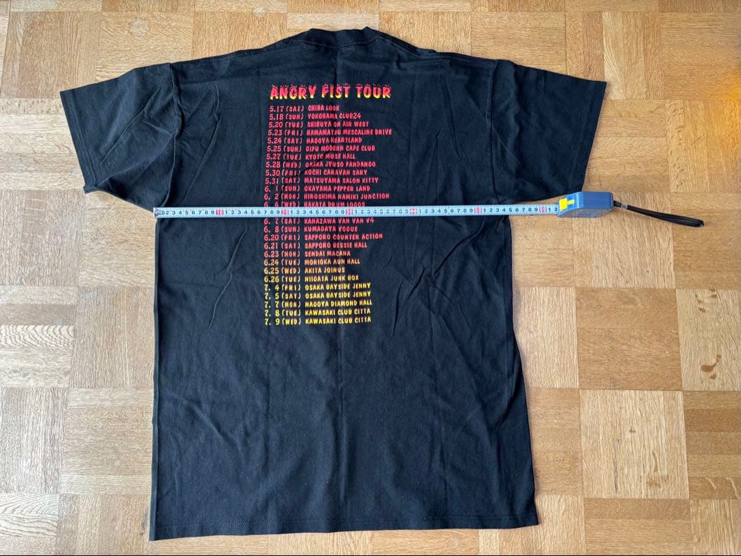 Hi-STANDARD ハイスタ バンド90’s ヴィンテージ ツアーＴ