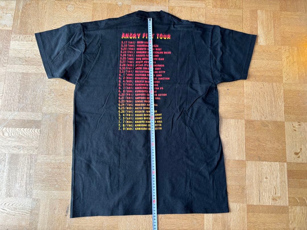 Hi-STANDARD ハイスタ バンド90’s ヴィンテージ ツアーＴ