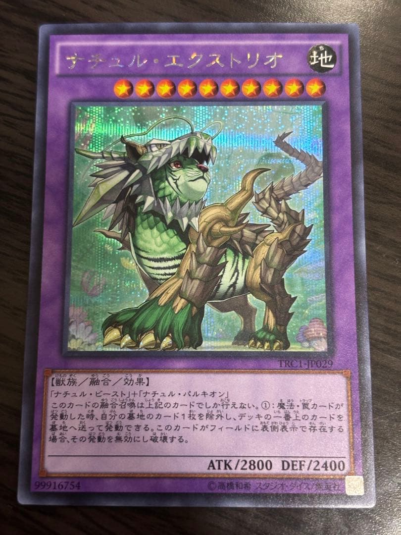 遊戯王 ナチュル・エクストリオ シークレット ナチュルエクストリオ