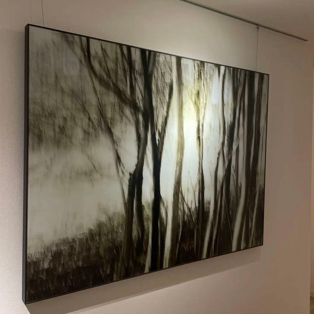 Bo Concept｜ガラスアート ギャラリーグラスアート 「Forest」 - メルカリ