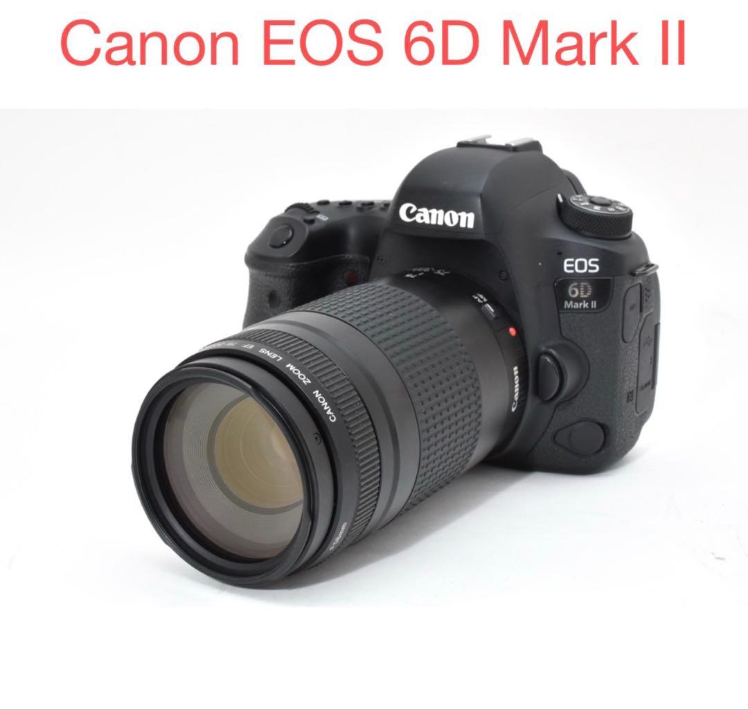 Canon EOS 6D Mark II /Canon EF 75-300mm
