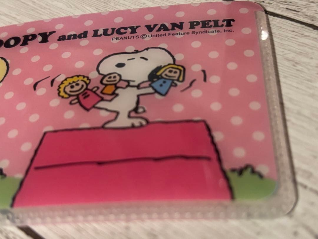 a*n様 スヌーピー診察券ケース約6.2×9.3cm