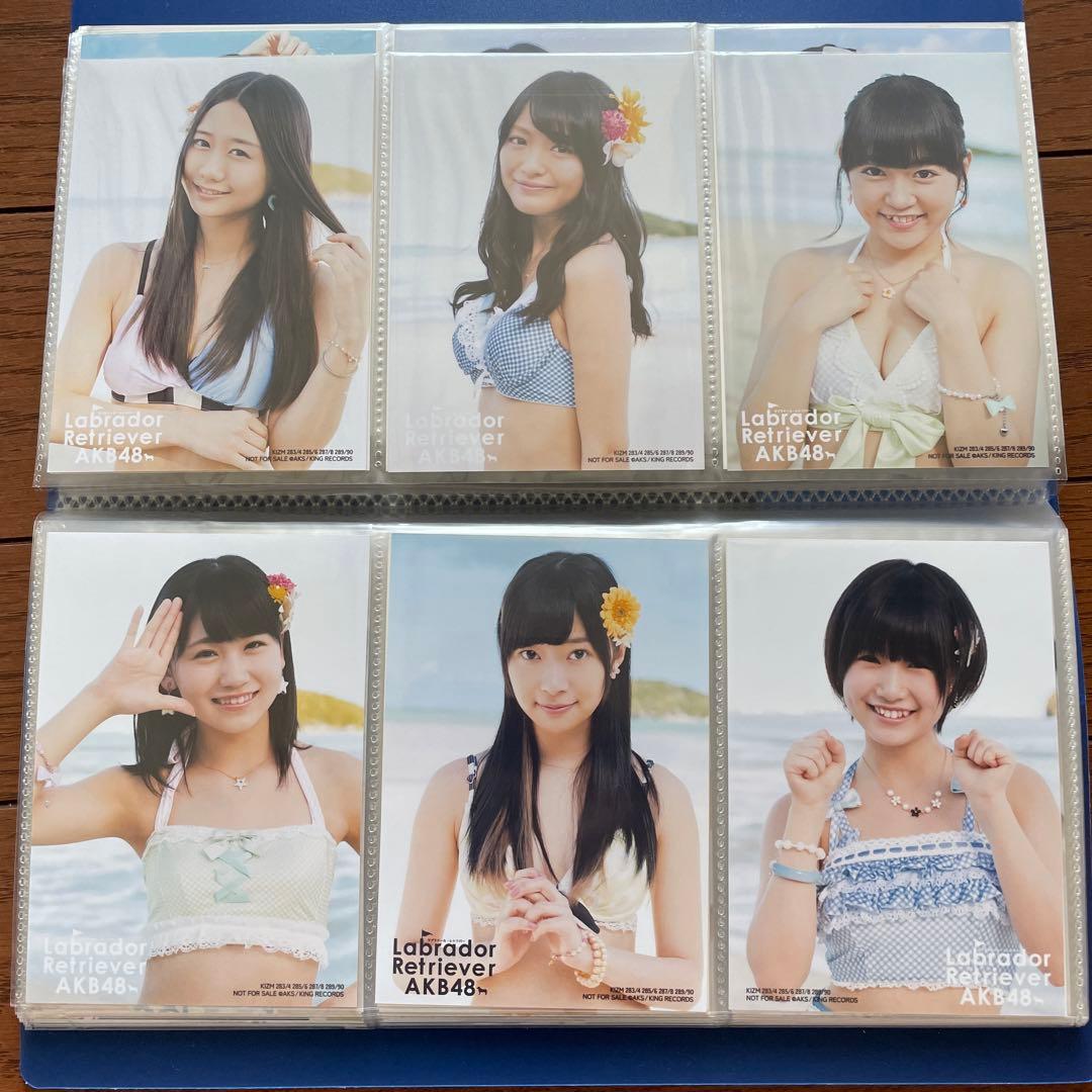 AKB ラブラドールレトリバー 通常 生写真