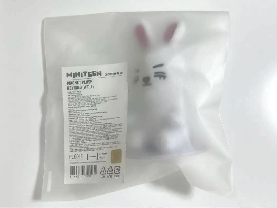 SEVENTEEN セブチ MINITEEN エスクプス マグネットキーリング - メルカリ
