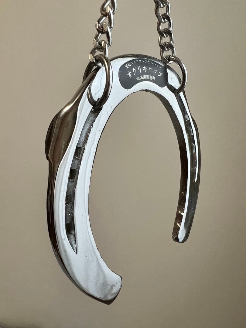 オグリキャップ 蹄鉄 優駿スタリオンステーション - メルカリ