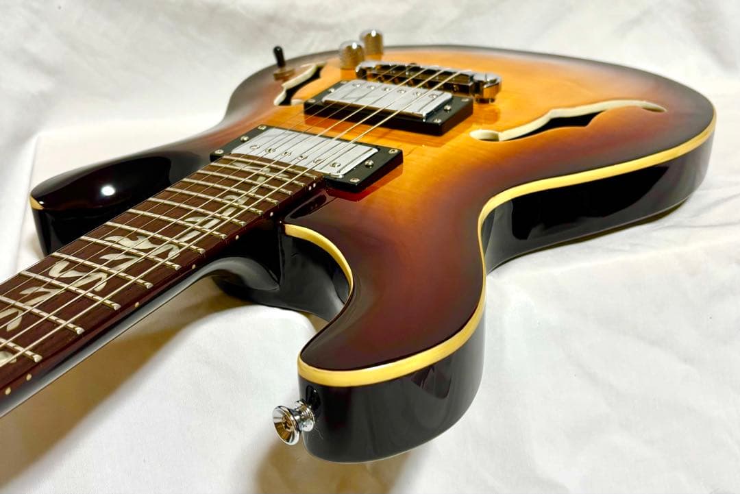 【新品弦張替済】GFC セミアコ PRSタイプ Tree of Life