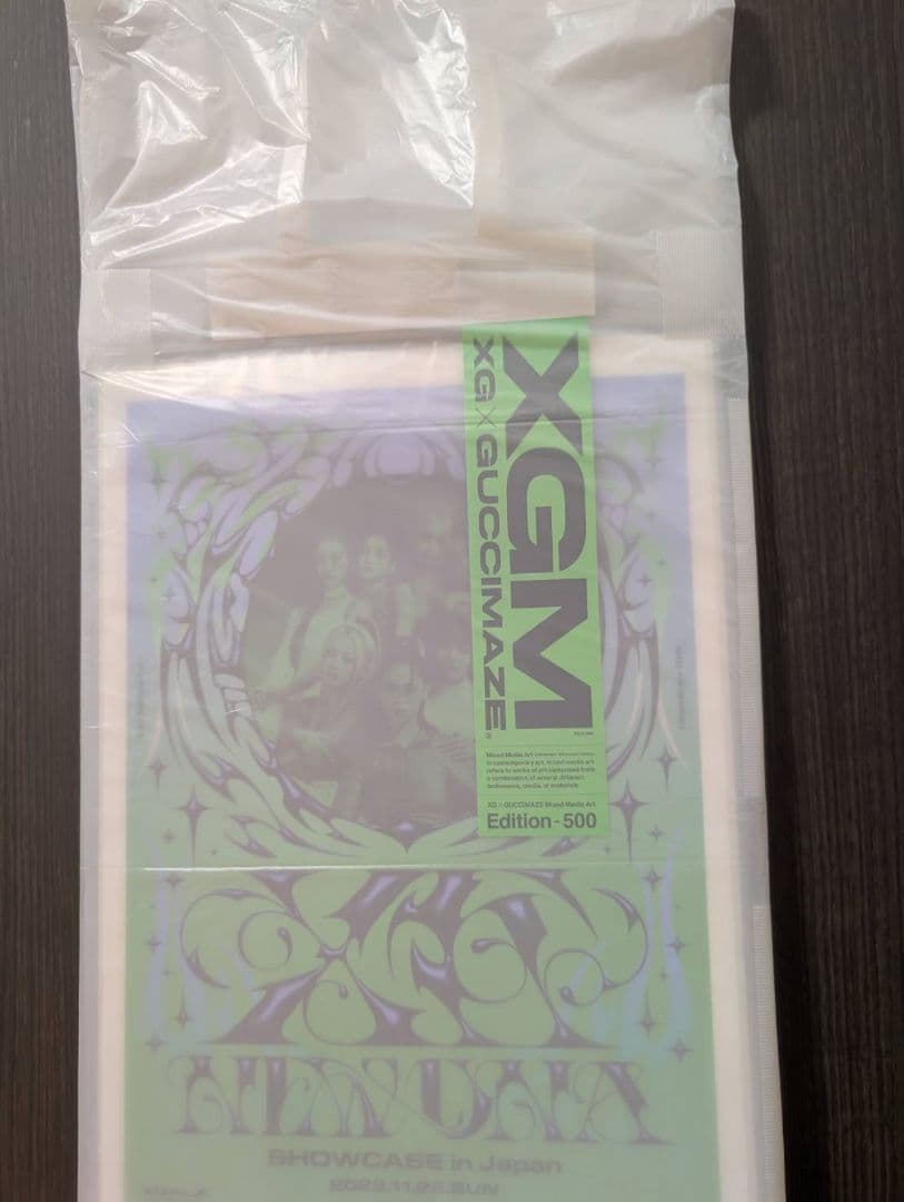 XG×GUCCIMAZE Mixed Media Art グッチメイズ