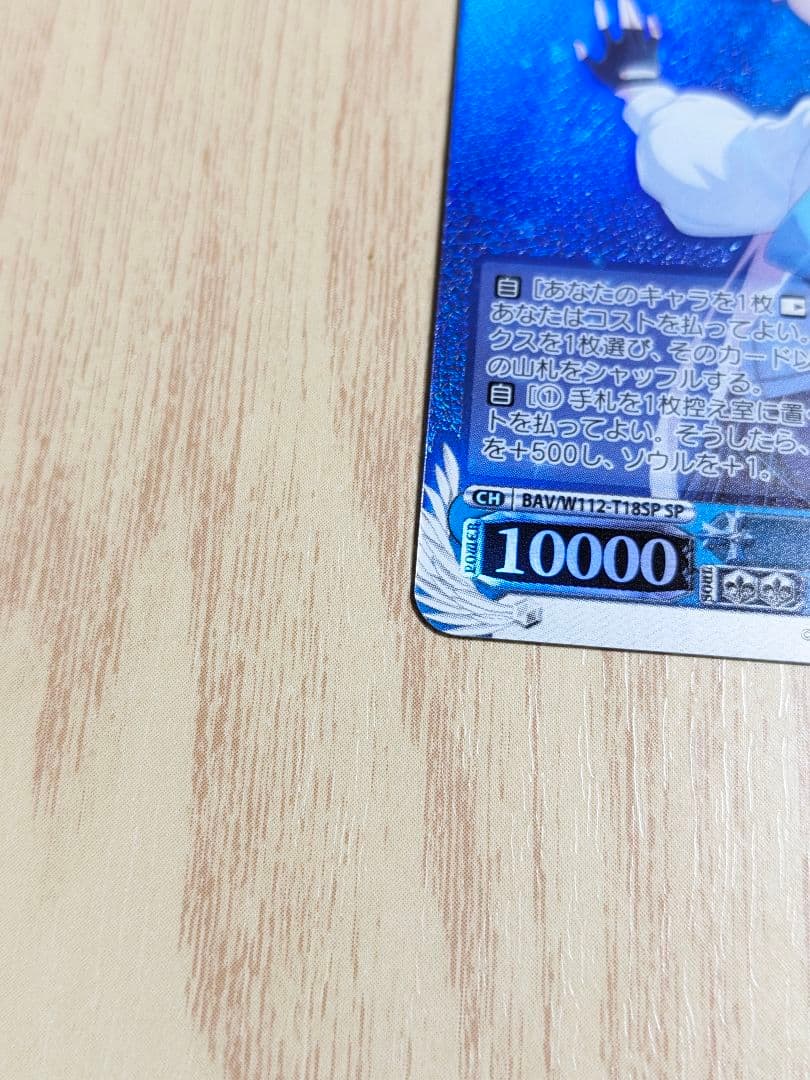 【BGS10】ヴァイス　ブルーアーカイブ　小鳥遊ホシノ　サインsp