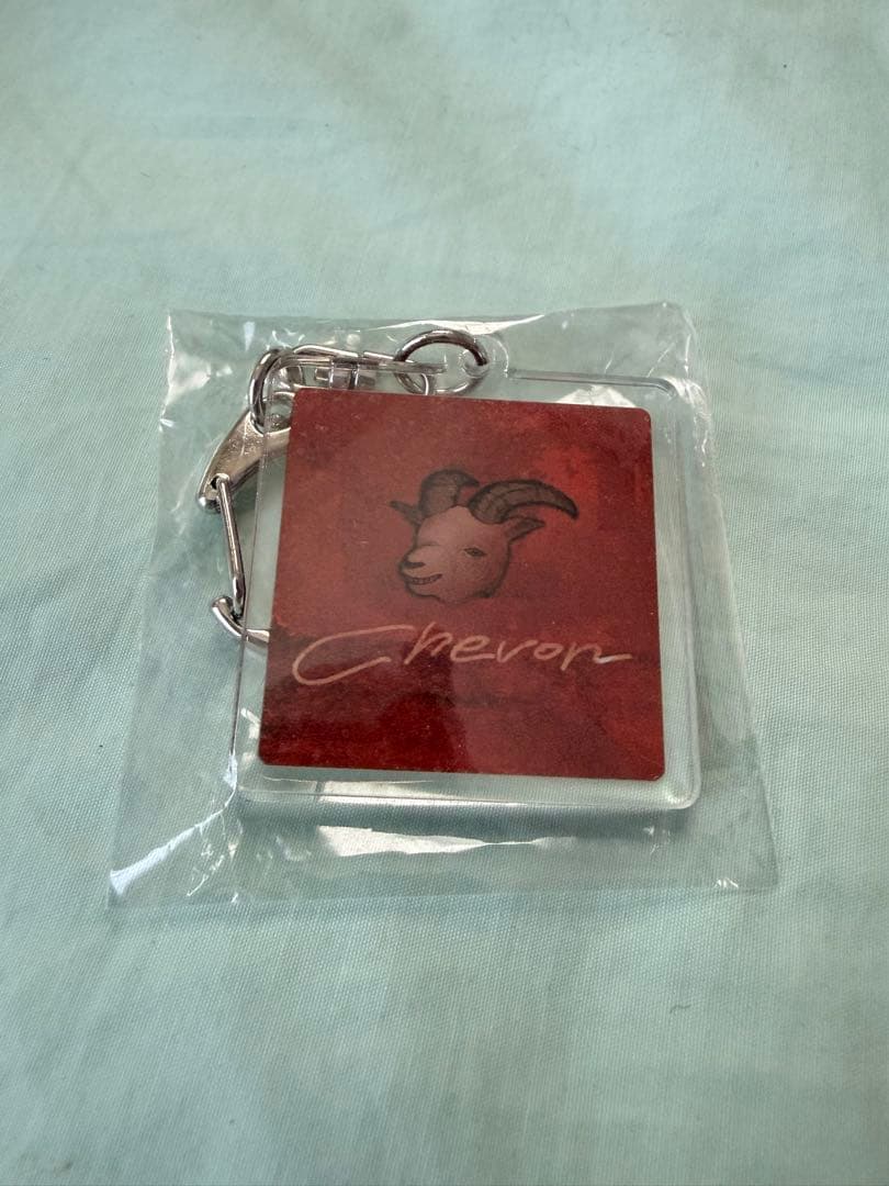 Chevon / 大行侵 ツアータオル / 美品 / おまけ付き