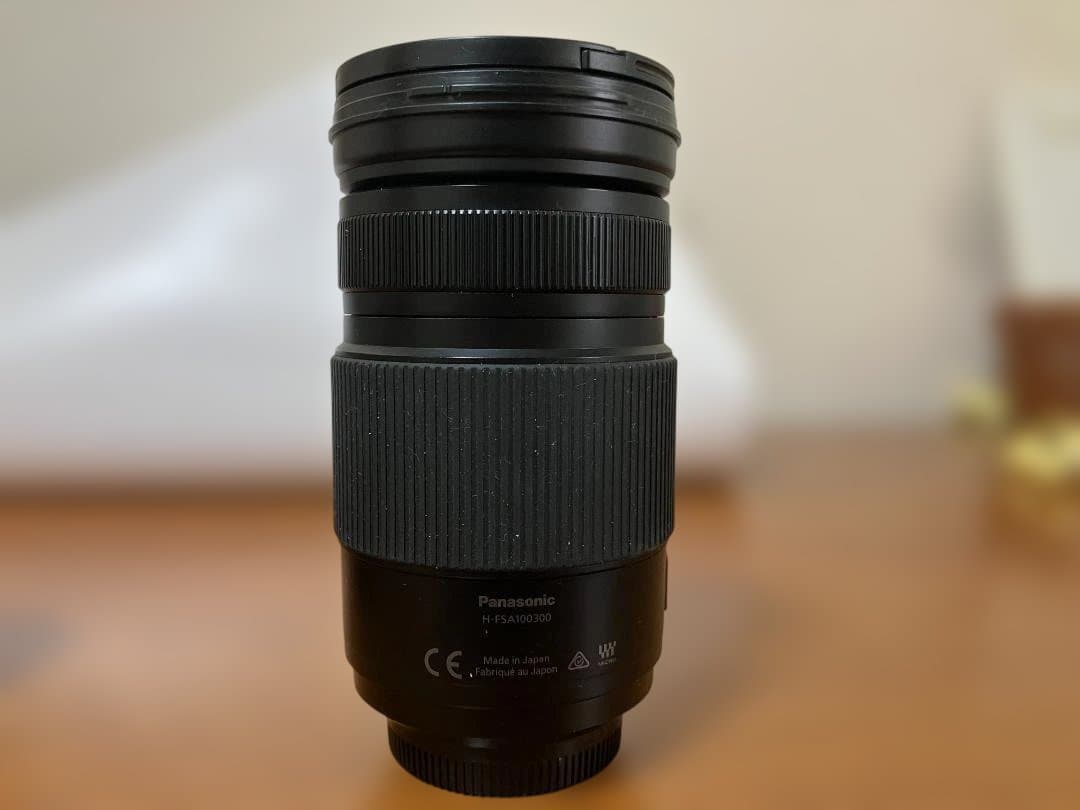 【価格相談可】LUMIX G VARIO 100-300mm/F4.0-5.6
