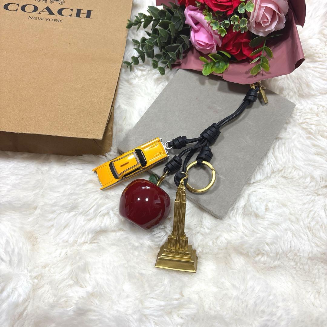 極美品 COACH コーチ スモール ニューヨーク りんご チャームの通販は