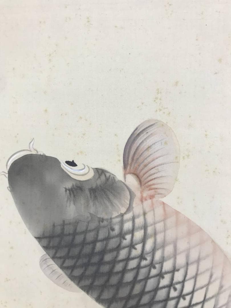 【真作】光陽/跳鯉図/鯉図/コイ図/花鳥図/掛軸☆宝船☆AD-496