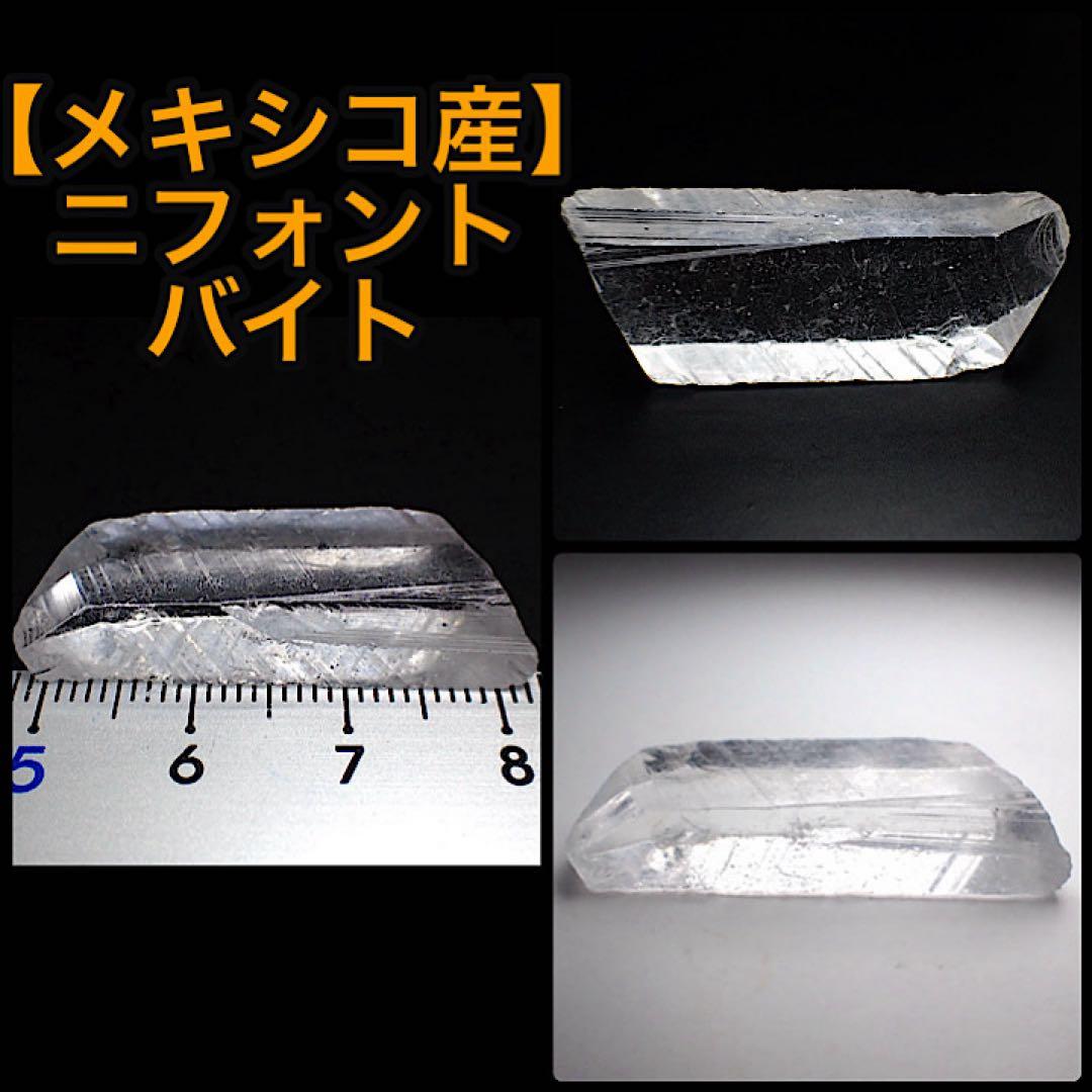 メキシコ/チャルカス産】ニフォントバイト - メルカリ