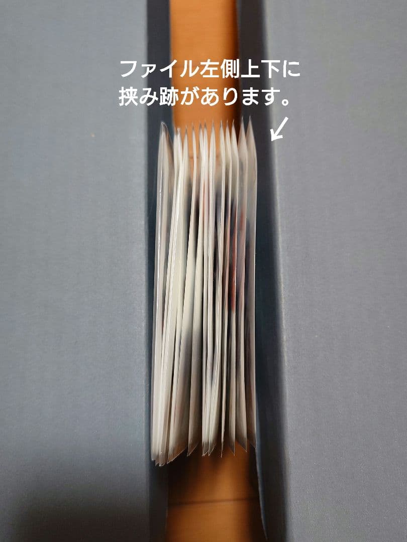 ダイヤのA DVD特典 クリアファイル