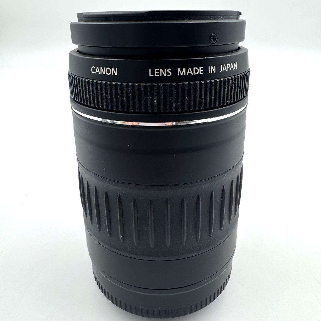Canon EF 90-300mm F4.5-5.6 USM 超望遠ズームレンズ