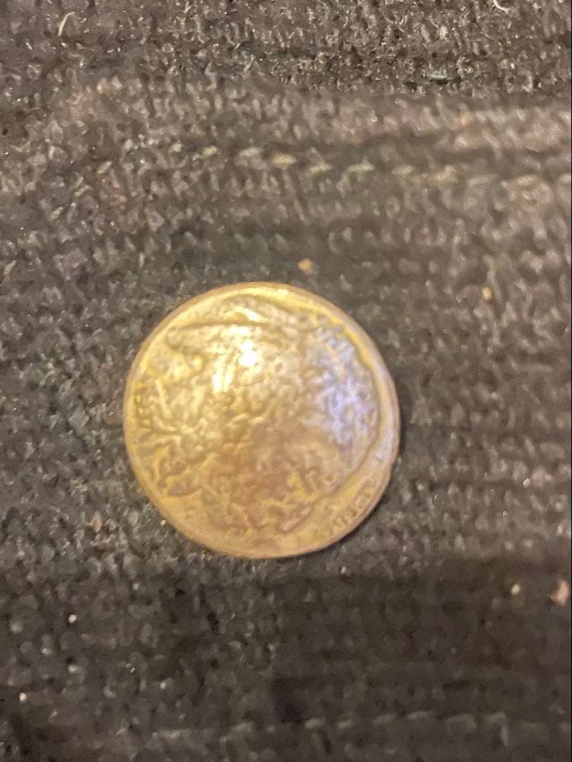 ⭐️ t.t 様専用⭐️Indian Motorcycl チマヨ袖レザージャケット