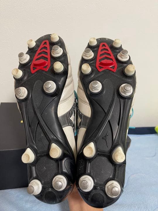 モレリアネオ3Japan MIX26センチ - メルカリ