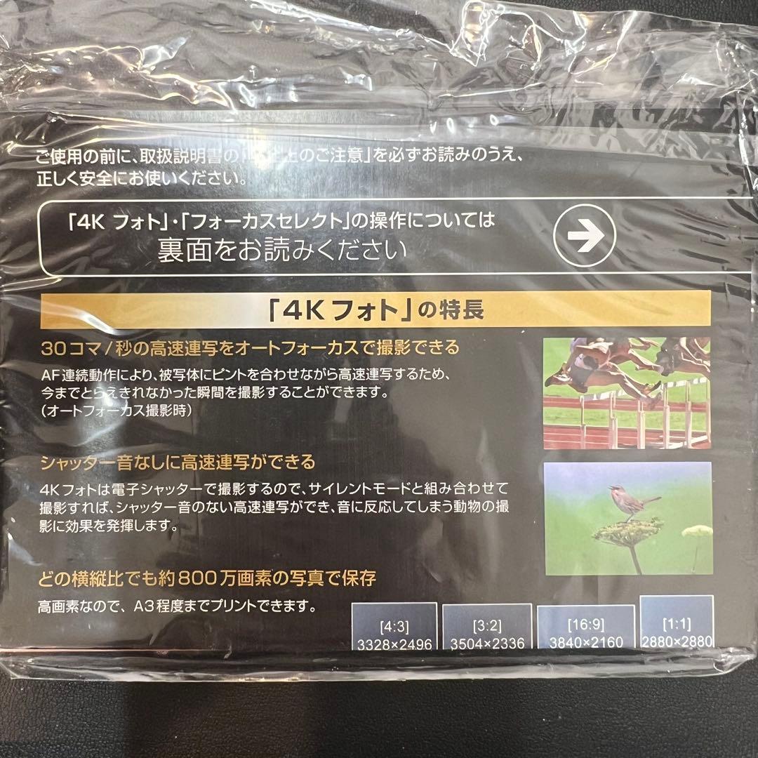 Panasonic LUMIX DC-GF10 ブラック ボディ 美品 - メルカリ