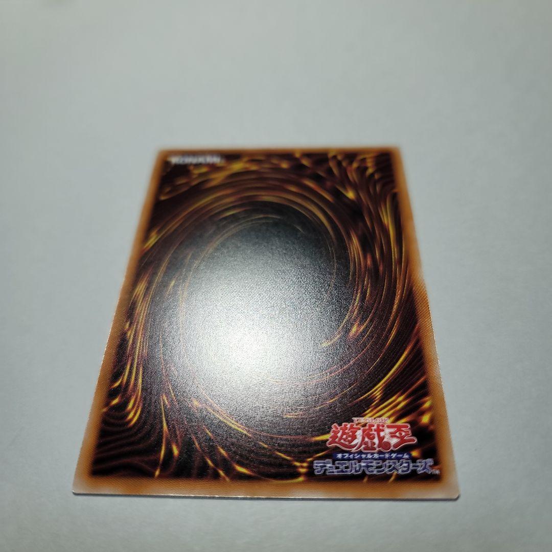 教導の雷霆フルルドリス　プリシク