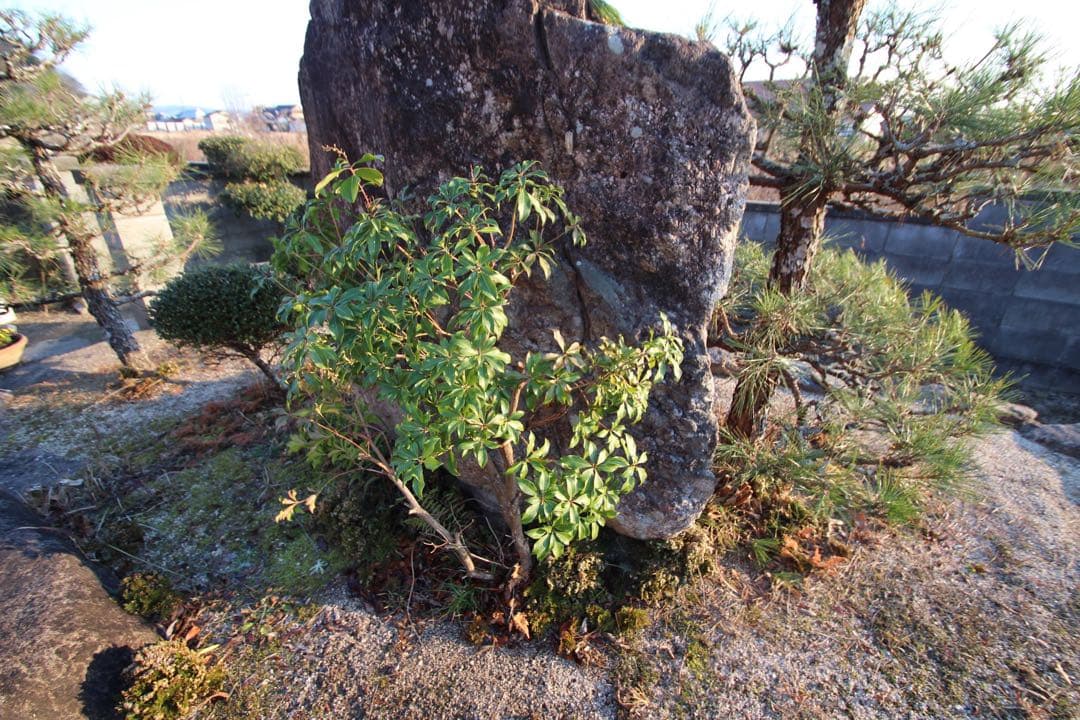 超美品】TAMRON SP10-24mm F3.5-4.5 Di II B001