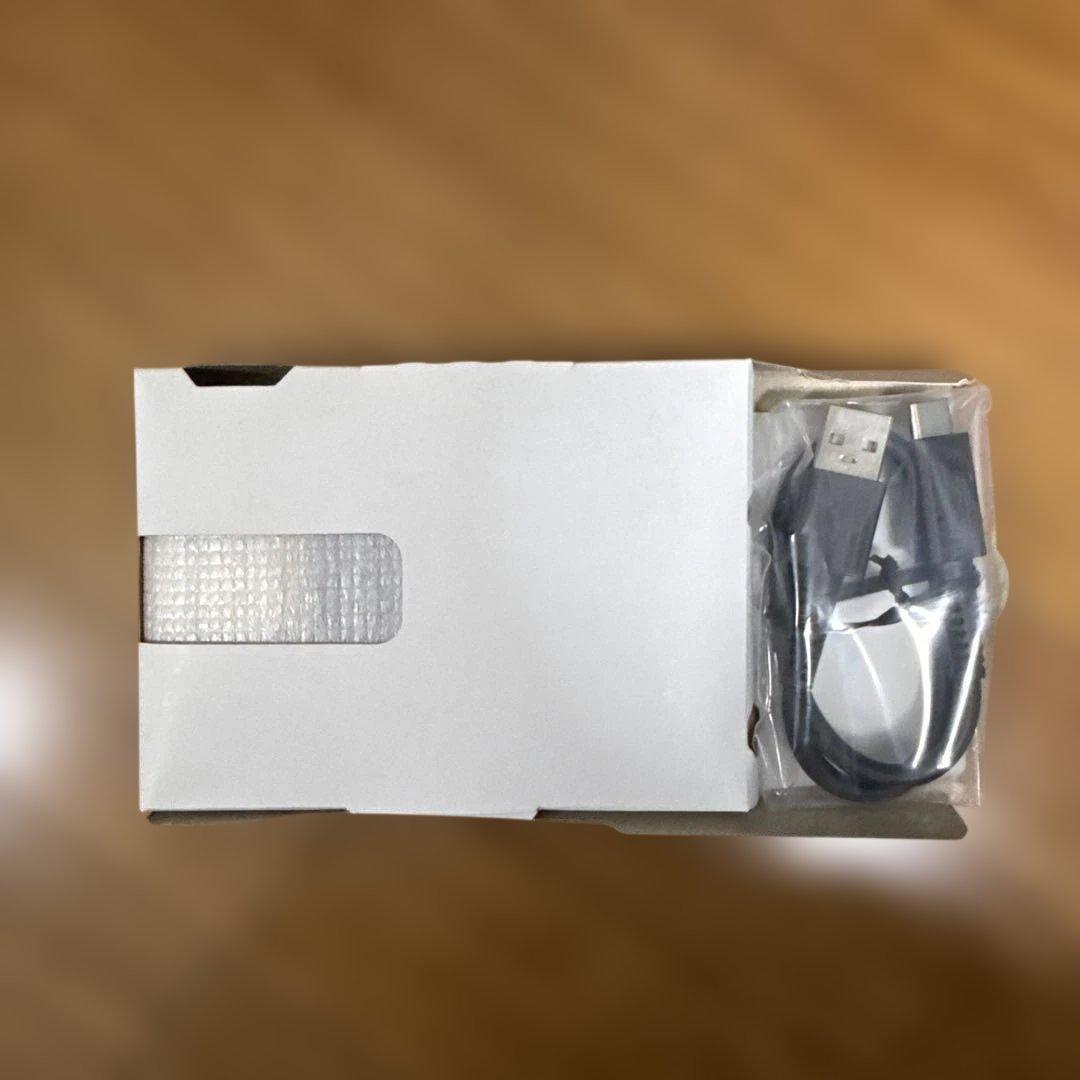 【美品】 任天堂 ゲーム & ウォッチ USBACアダプタ セット