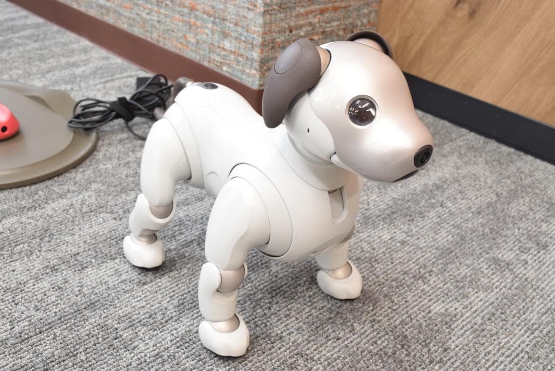 SONY/ソニー aibo/アイボ ERS-1000 本体 - メルカリ