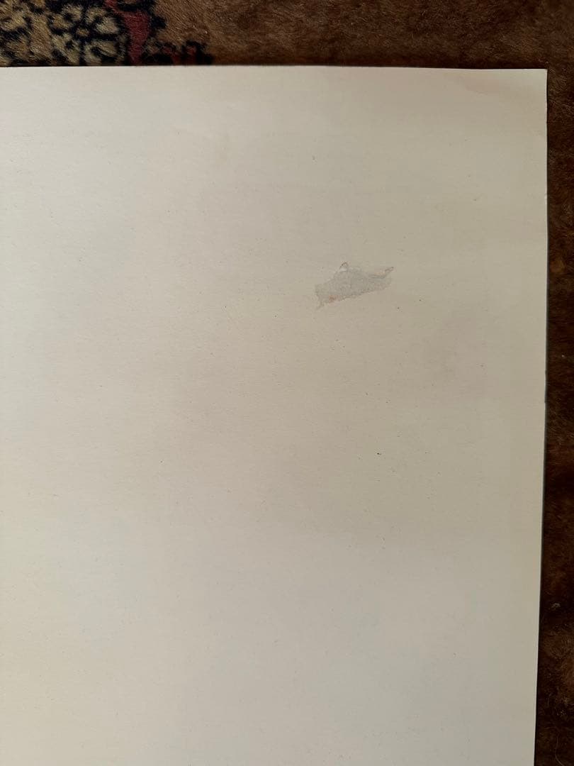 会田誠 「切腹女子高生」オフセット リトグラフ 2000 - メルカリ