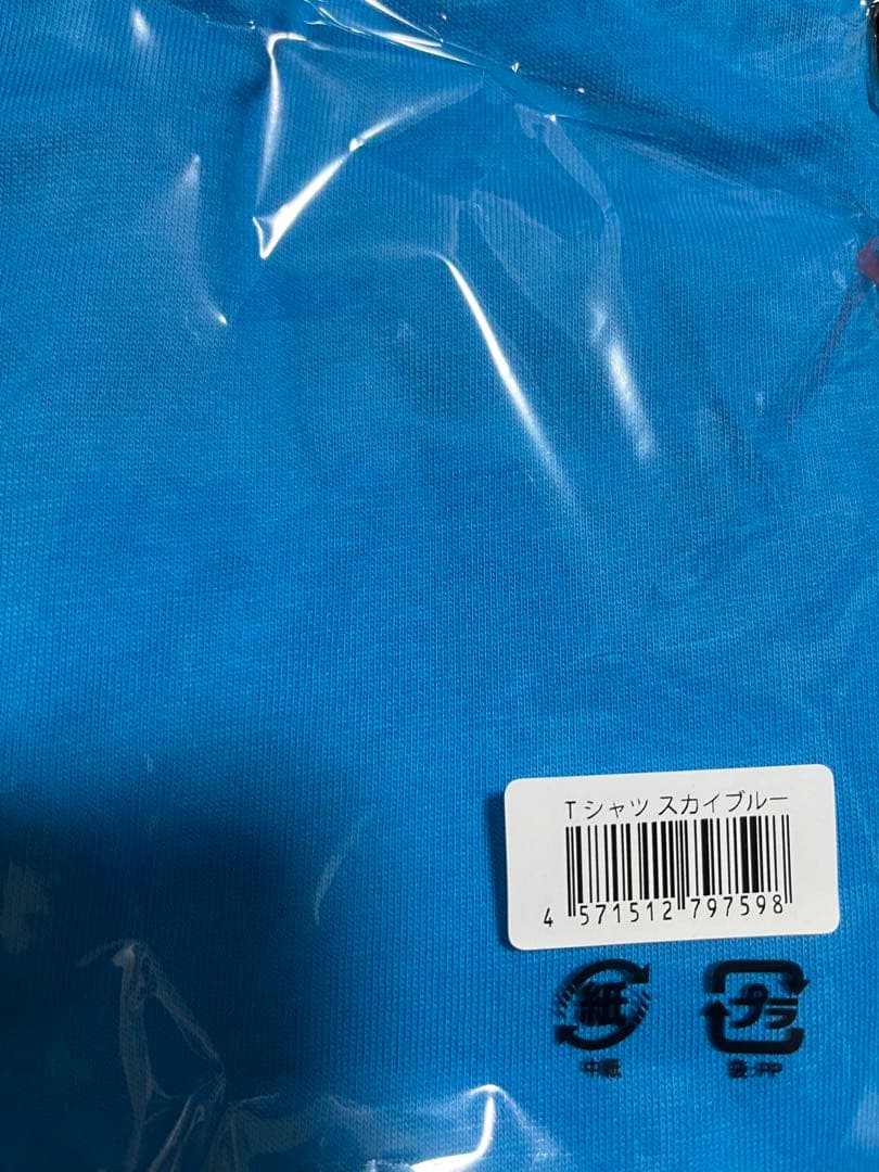 わっしょい camp Tシャツ スカイブルー