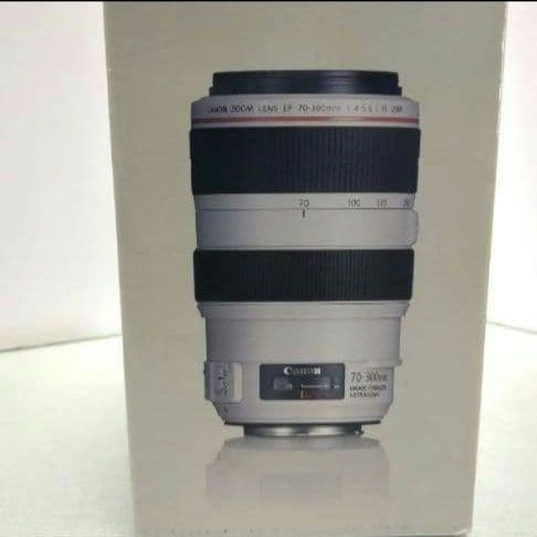 超美品　Canon EF 70-300mm f/4-5.6 IS USM ズーム