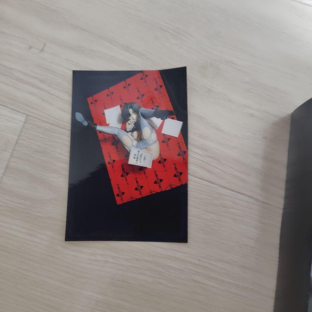 エヴァンゲリオン　伊吹マヤ1/6ガレージキット脱衣補完計画綾波レイワンフェス