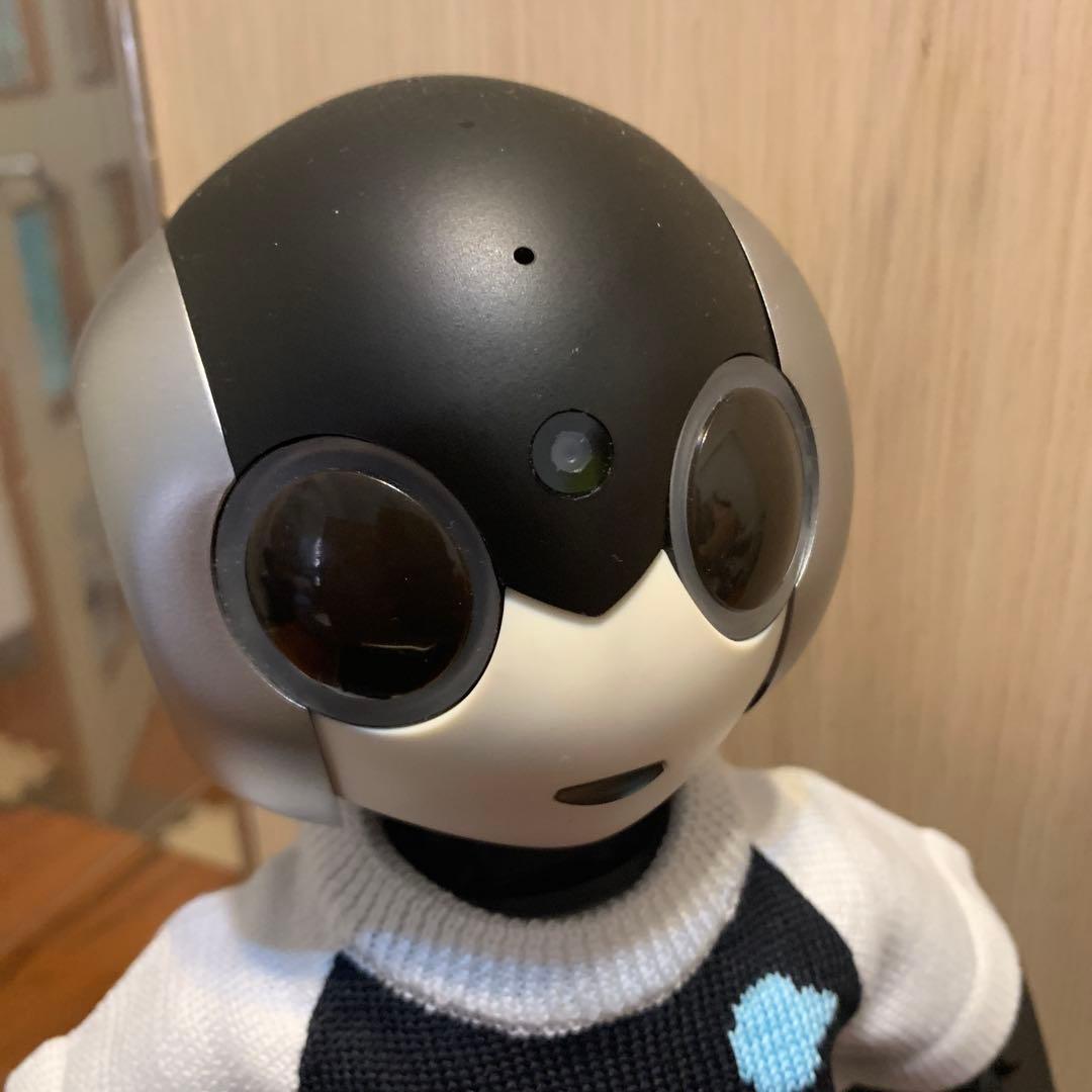 か*そ様 ロビ2 本体　動作確認済　ディスプレイケース(ロビルーム)セット