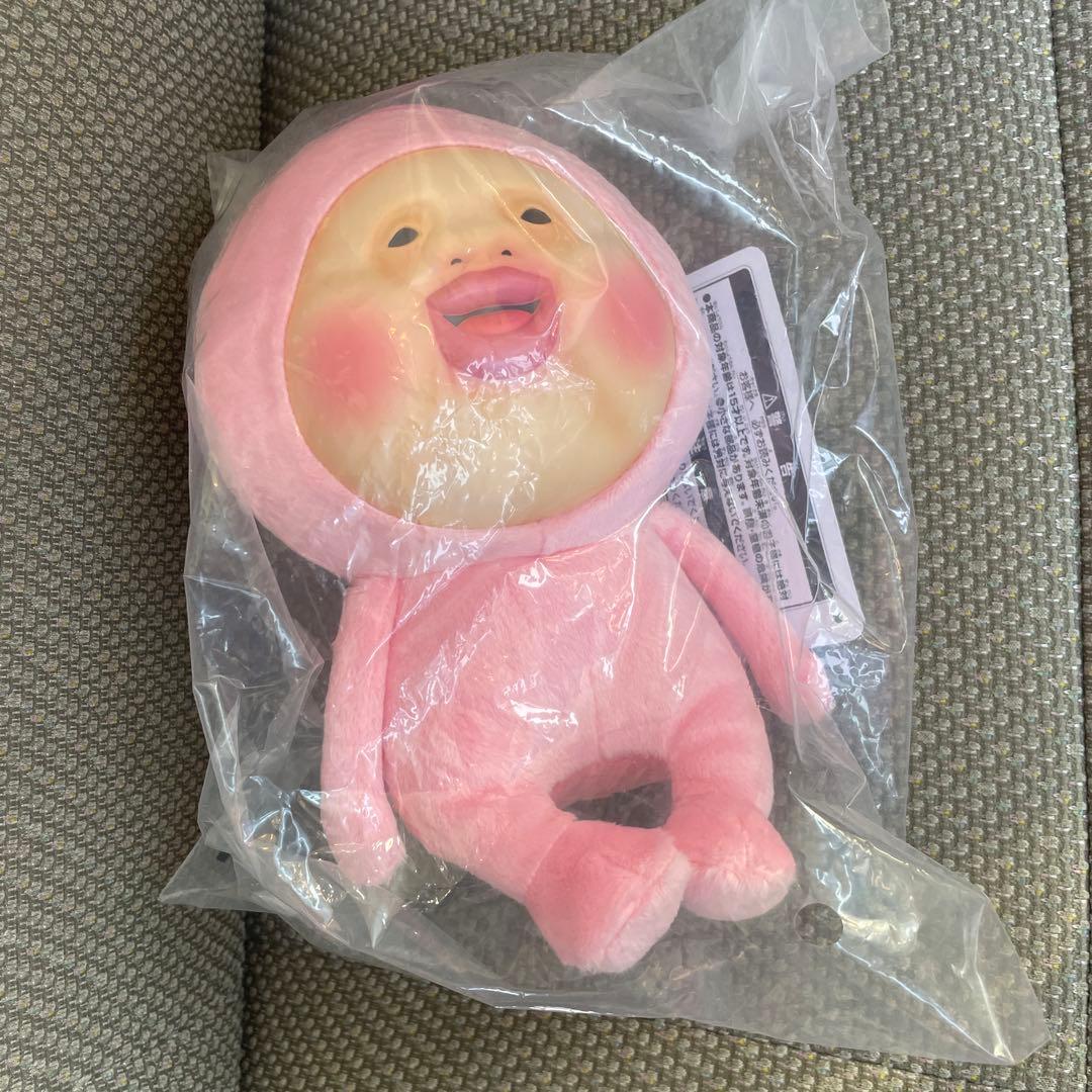 本日発送可』こびとづかん 1番くじ A賞 カクレモモジリおまけ付き