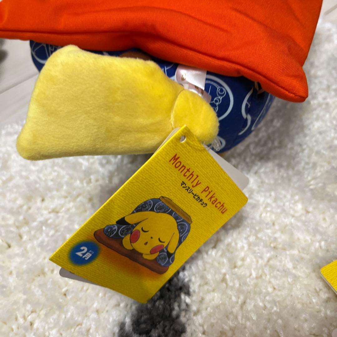 ぬいぐるみ　マンスリーピカチュウ2015、2016 9体セット