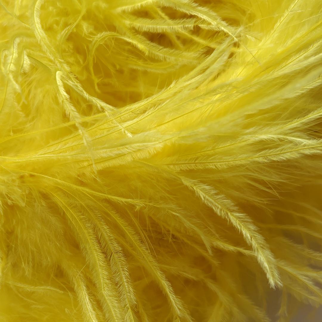 【ツル】3PLY オーストリッチ　黄色 オーストリッチから可愛らしい23年限定カラーの入荷です♪ | ニュース