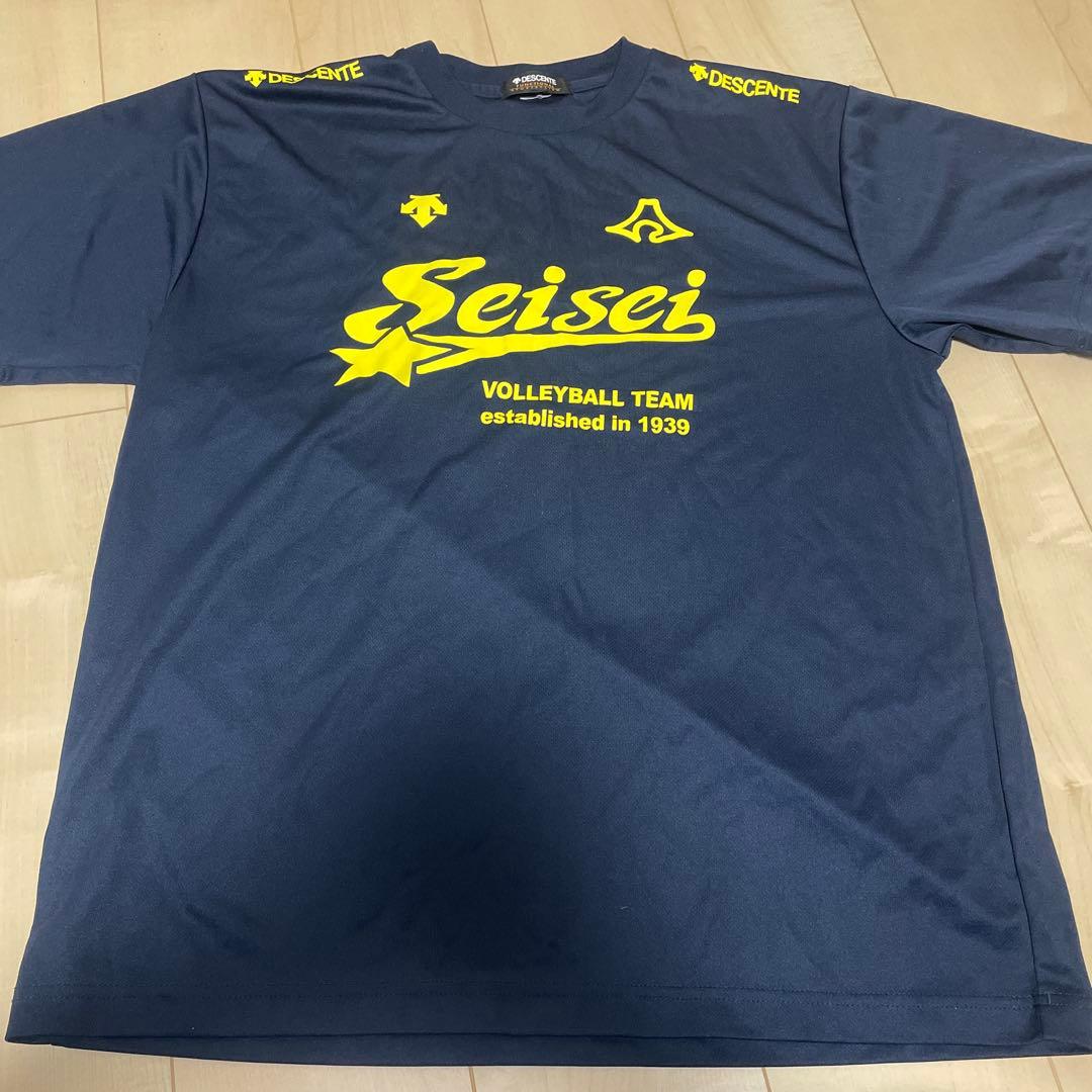 DESCENTE Seisei Volleyball Team シャツ Descente Long-Sleeve Shirt, Volleyball Classic, Sweat Absorbent