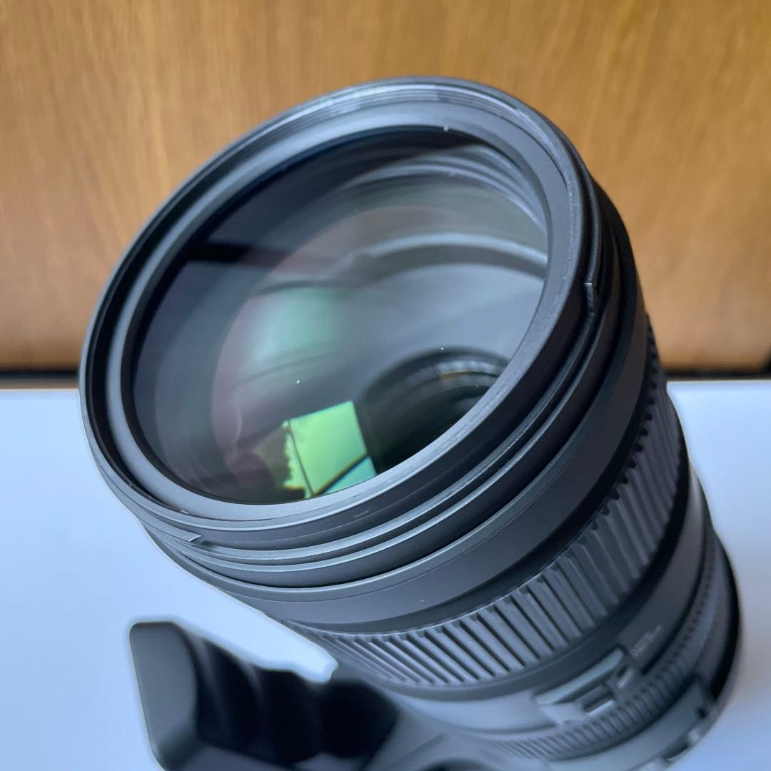 SIGMA 120-400mm F4.5-5.6 APO DG OS ズーム