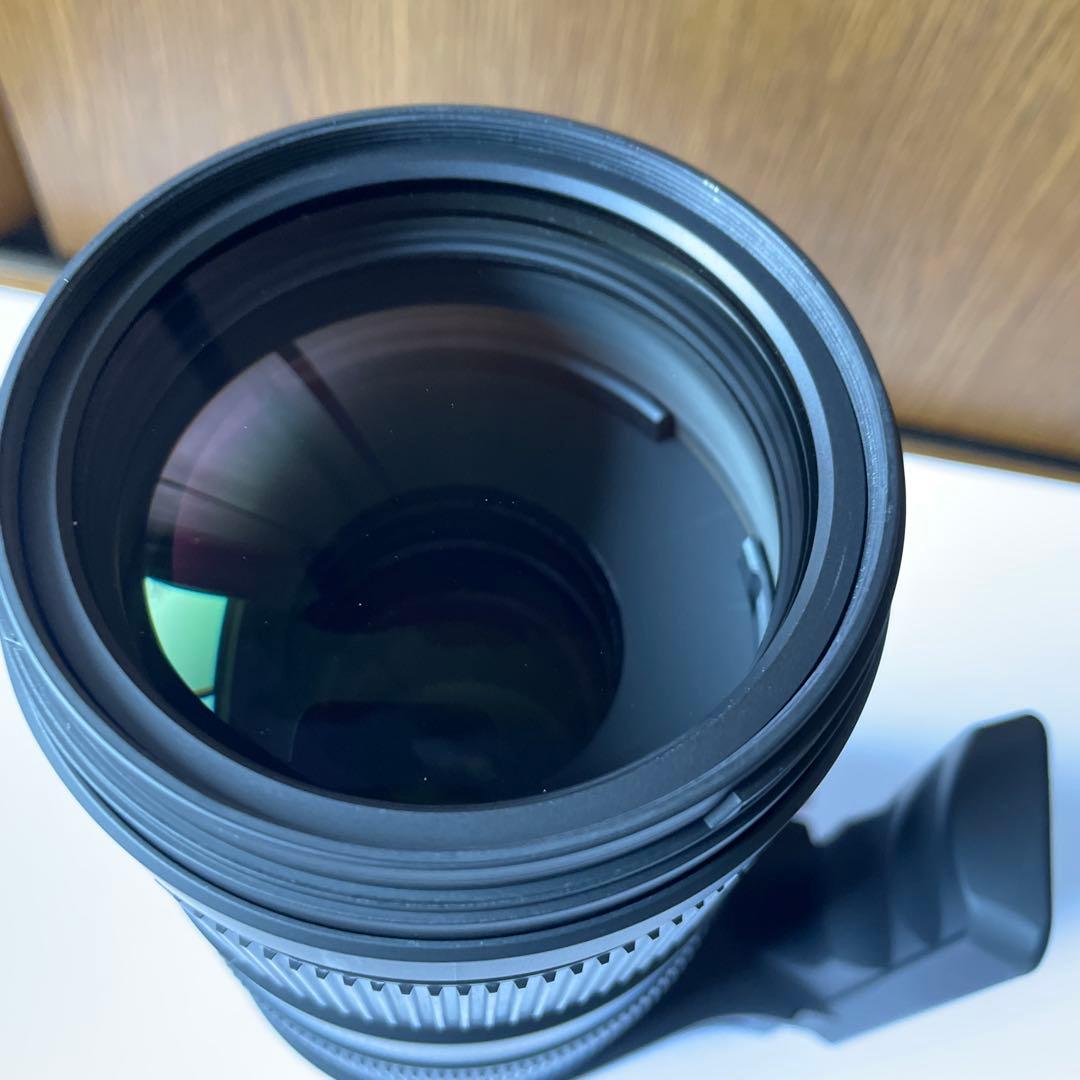 SIGMA 120-400mm F4.5-5.6 APO DG OS ズーム
