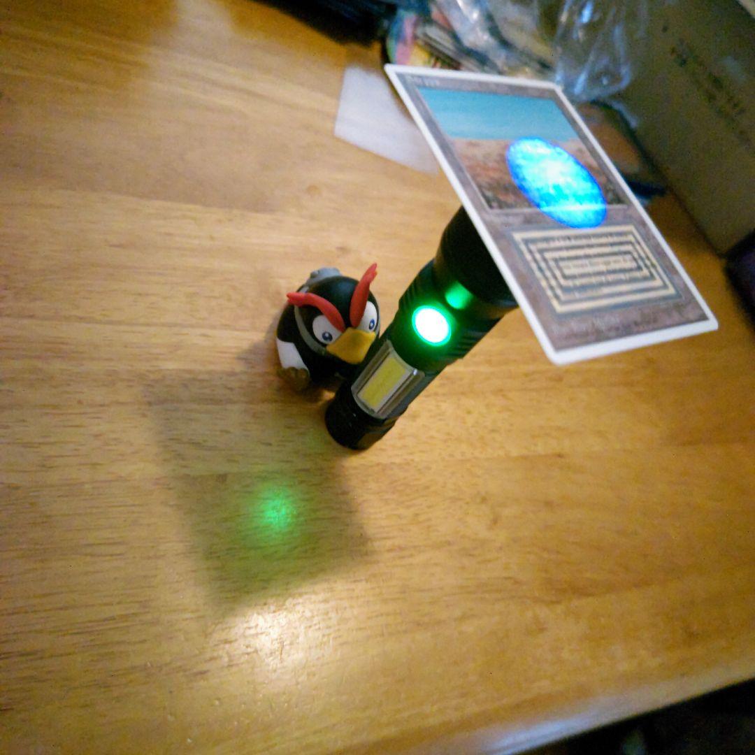 【断捨離】美品 scrubland イタリア語