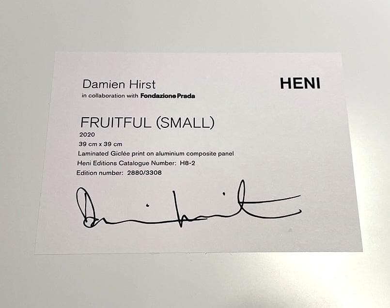 Fruitful small】ダミアン ハースト ラミネート アルミパネル - メルカリ