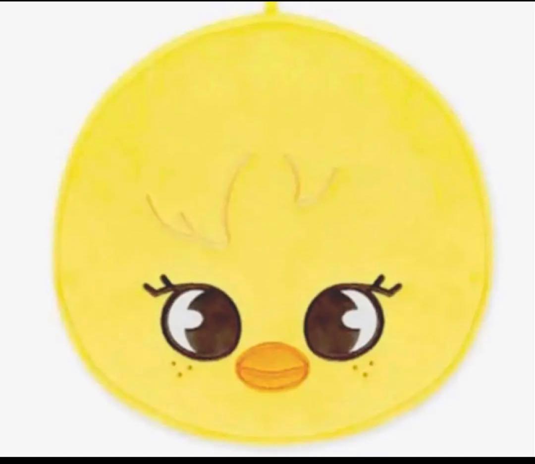 即購入⭕️ straykids フィリックス うちわケース 一枚 ポガリ - メルカリ