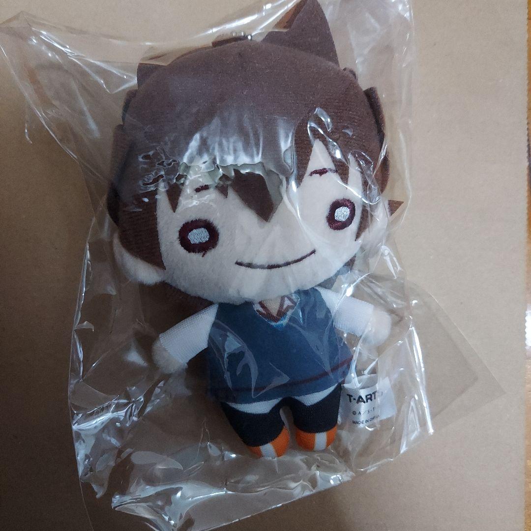 家庭教師ヒットマンREBORN！にとたん　沢田綱吉　ツナ　缶バッチ　アクリル